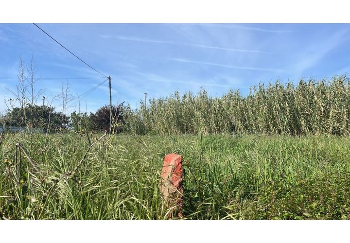 Helårsgrund i Esposende, Braga, Esposende - € 83.000 | Ref: UNU-F3-80-2 - foto 1