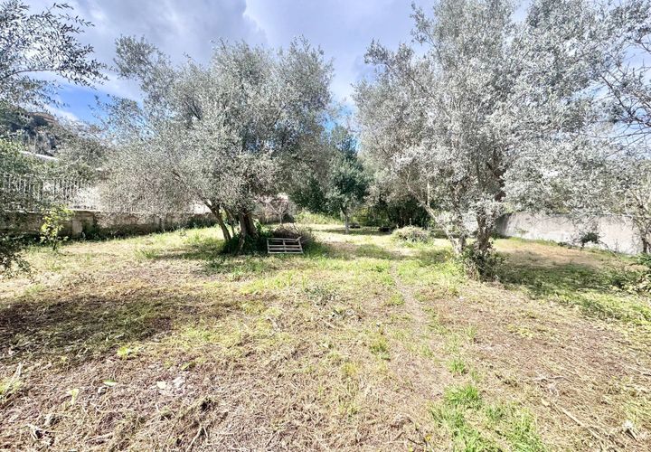 Terra a Palermo, Palermo, Palermo - € 500/mes | Ref: 54279437 - foto 1