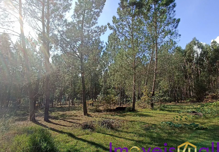 Helårsgrund i Valenca, Viana do Castelo, Valenca - € 55.000 | Ref: SV 2226 - foto 1
