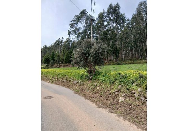 Helårsgrund i Coimbra, Coimbra, Coimbra - € 35.000 | Ref: KWPT-031528 - foto 1