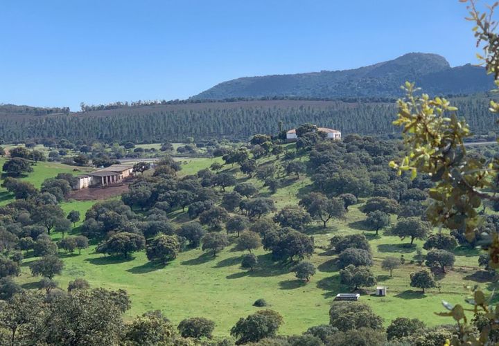 Terra a Garbayuela, Badajoz, Garbayuela - € 2.900.000 | Ref: BA-2025-61/12527 - foto 1