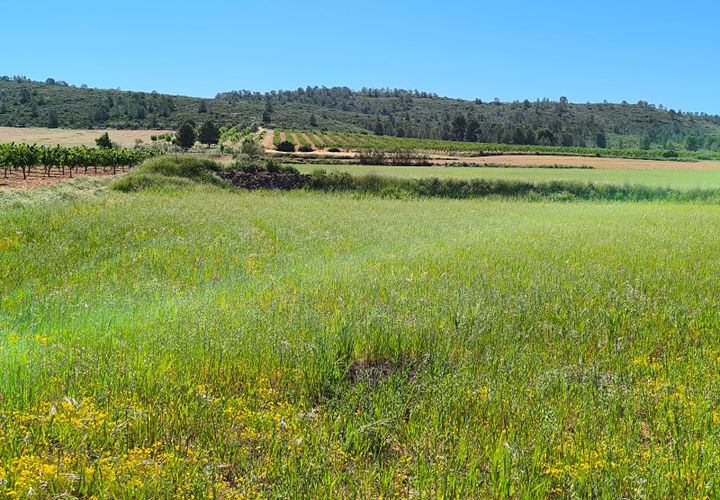 Helårsgrund i Yecla, Murcia, Yecla - € 70.000 | Ref: 70118 - foto 1