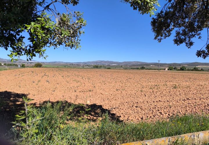 Helårsgrund i Yecla, Murcia, Yecla - € 29.500 | Ref: 70114 - foto 1