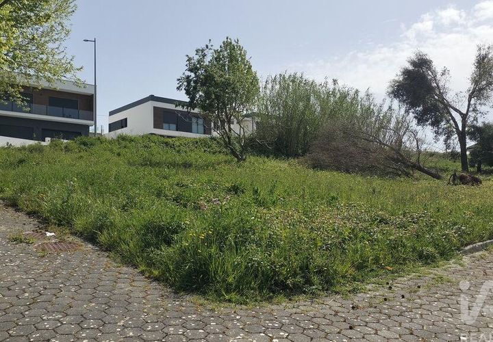 Terra a Leiria, Leiria, Leiria - € 50.000 | Ref: 884113 - foto 1