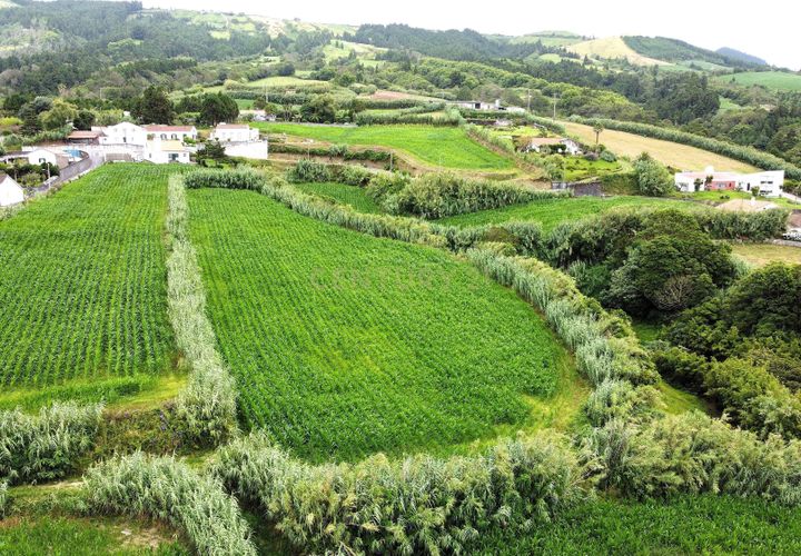 Tomt i Ginetes, Sao Miguel, Ginetes - € 140 000 | Ref: C0276-02178 - foto 1