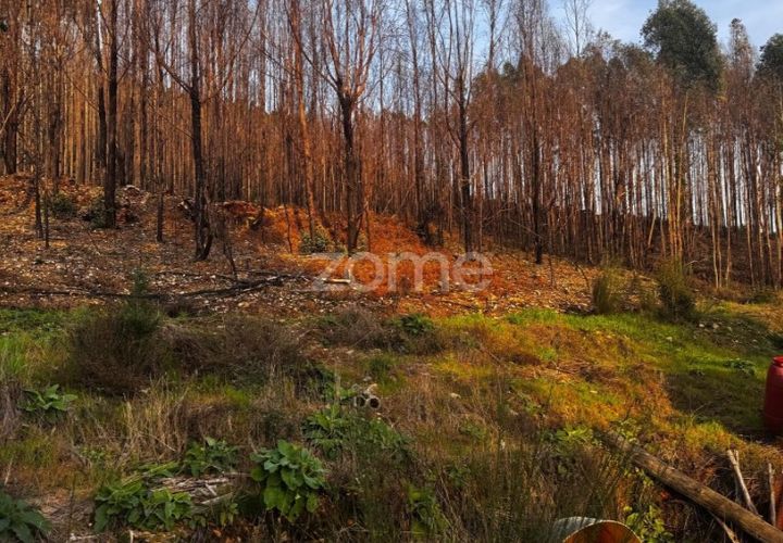Terra a Melres e Medas, Porto, Melres e Medas - € 65.000 | Ref: ZMPT584759 - foto 1
