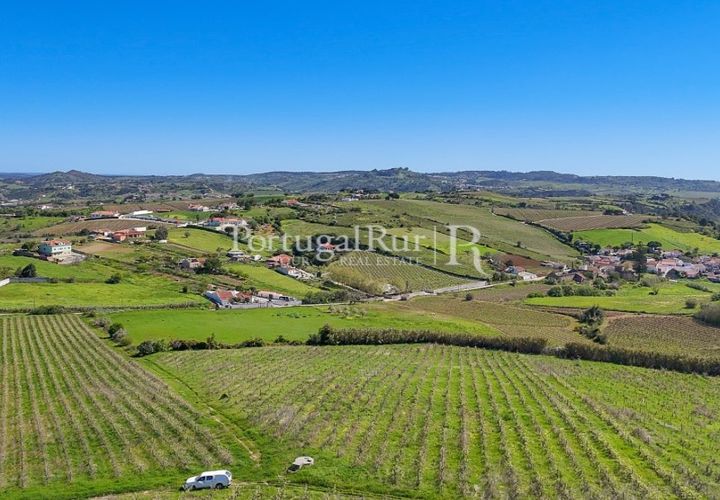 Farm i Alenquer, Lisbon, Alenquer - € 600.000 | Ref: CV690 - foto 1