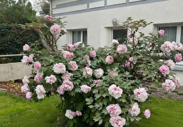 Villa a Reze, Loire-Atlantique, Reze - € 1.300/mes | Ref: 874633 - foto 1