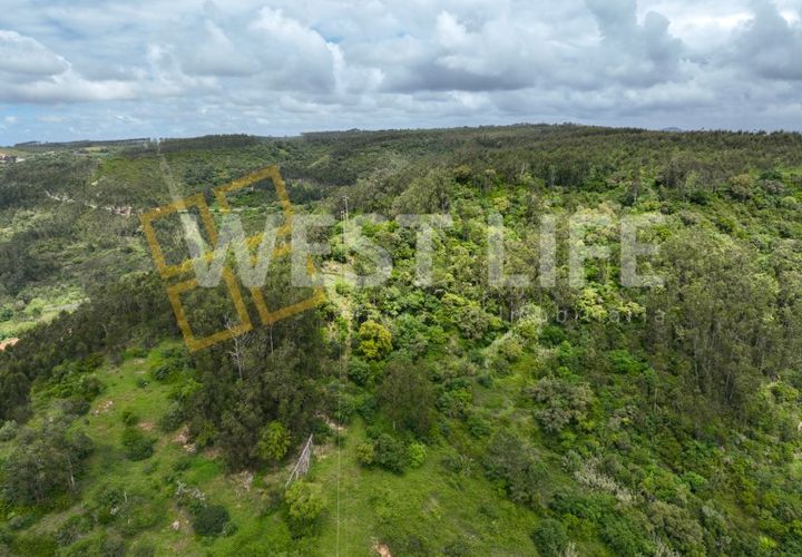 Helårsgrund i Mafra, Lisbon, Mafra - € 59.000 | Ref: 5857WE - foto 1