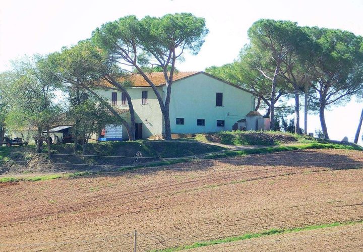 Farm hus i Roccastrada, Grosseto, Roccastrada - € 780.000 | Ref: A7631TA2125665A-1082075 - foto 1