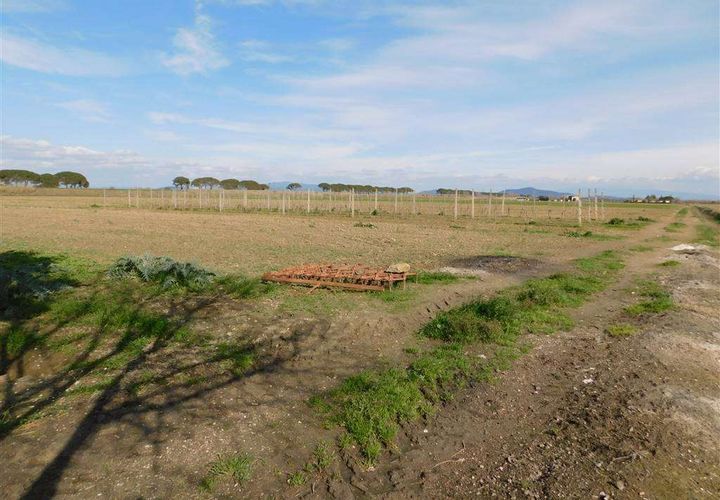 Farm hus i Grosseto, Grosseto, Grosseto - € 690.000 | Ref: A7631TA1402201A-1082738 - foto 1