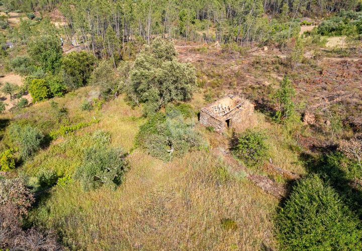 Helårsgrund i Castelo Branco, Castelo Branco, Castelo Branco - € 14.000 | Ref: H776 - foto 1