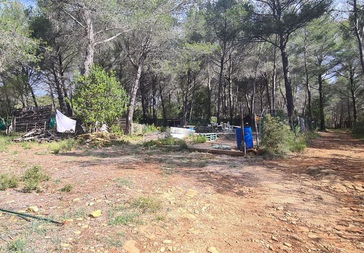 Terra a Le Beausset, Var, Le Beausset - € 43.000 | Ref: 12213FZ1139 - foto 1
