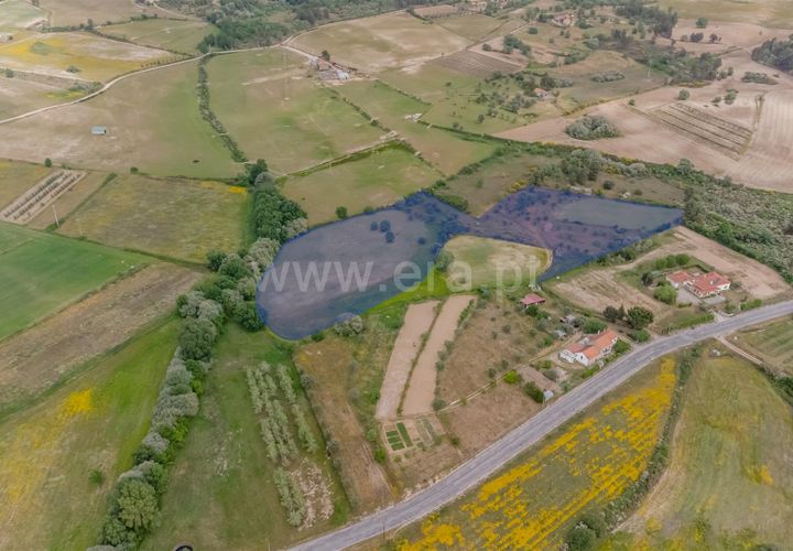 Terra a Belmonte, Castelo Branco, Belmonte - € 42.500 | Ref: 111260096 - foto 1