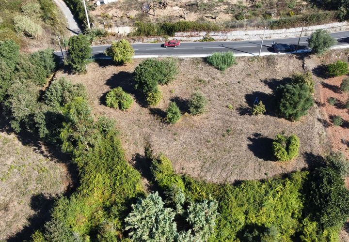 Terra a Alcobaca, Leiria, Alcobaca - € 88.900 | Ref: F00257 - foto 1