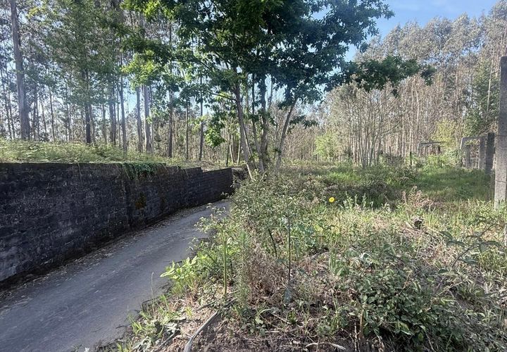 Helårsgrund i Ponte de Lima, Viana do Castelo, Ponte de Lima - € 28.900 | Ref: EAPA_293/11657 - foto 1