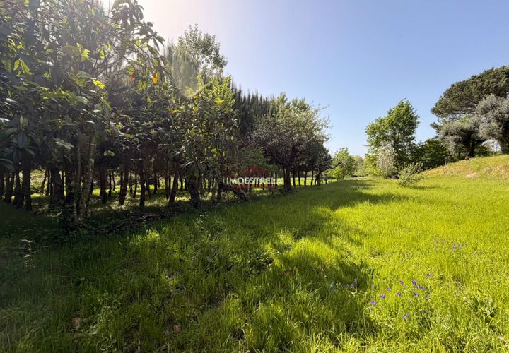 Farm i Seia, Guarda, Seia - € 30.000 | Ref: 26010 - foto 1
