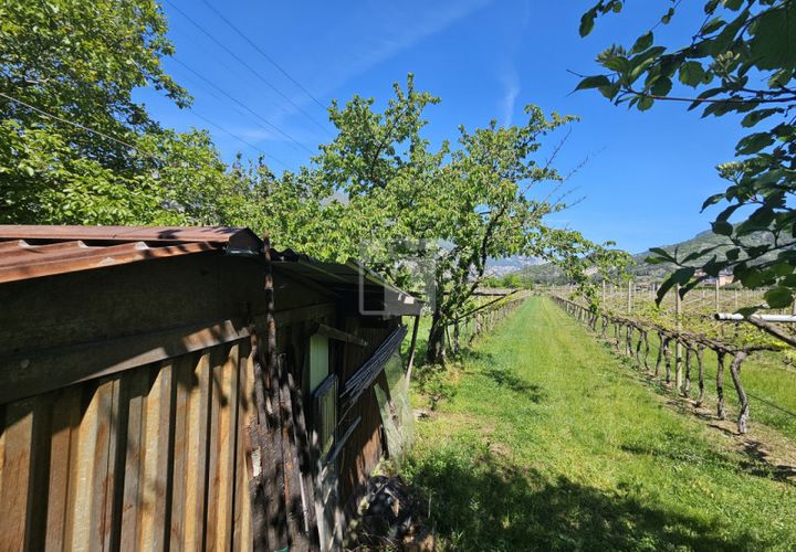Terra a Arco, Trento, Arco - € 103.000 | Ref: 1771-1 - foto 1