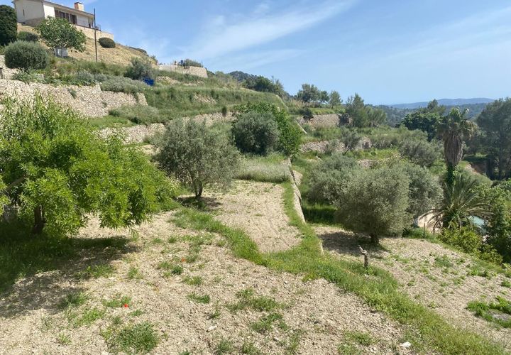 Terra a Galilea, La Rioja, Galilea - € 370.000 | Ref: SPCRM5000 - foto 1