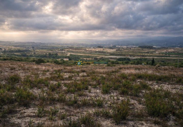 Terra a Albaida, Valencia, Albaida - € 375.000 | Ref: PNPT260 - foto 1