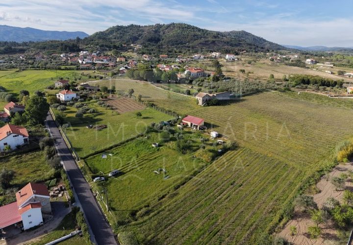 Farm i Caria, Castelo Branco, Caria - € 45.000 | Ref: FIN_575 - foto 1