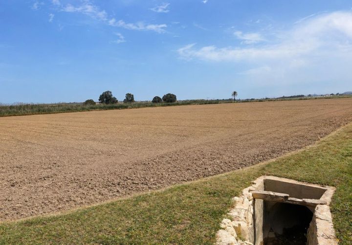 Helårsgrund i Dolores, Alicante, Dolores - € 330.000 | Ref: F136/3390 - foto 1