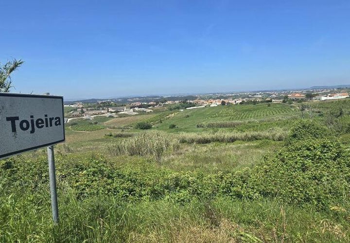 Terra a Cadaval, Lisbon, Cadaval - € 15.000 | Ref: 887513 - foto 1