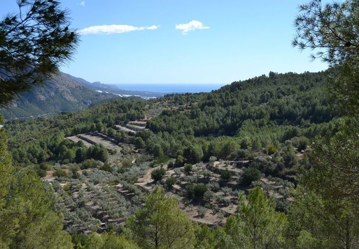 Terra a Guadalest, Alicante, Guadalest - € 18.000 | Ref: 6417 - foto 1