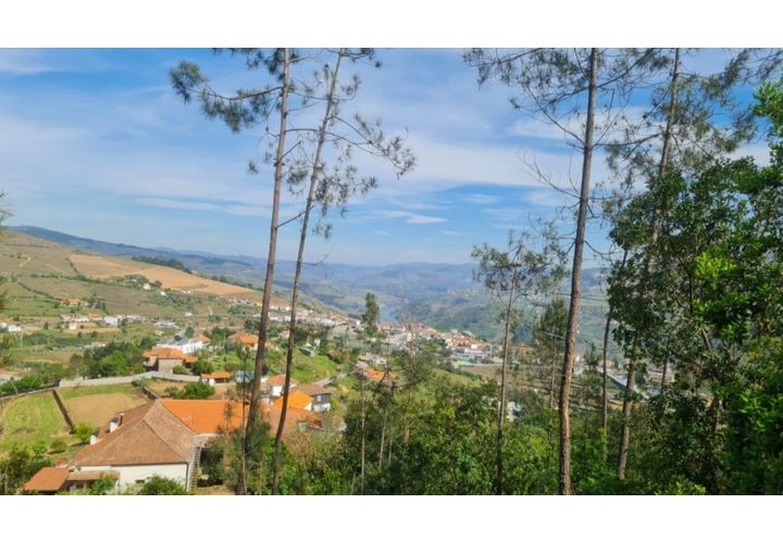 Helårsgrund i Gestaco, Porto, Gestaco - € 35.000 | Ref: MC09920 - foto 1