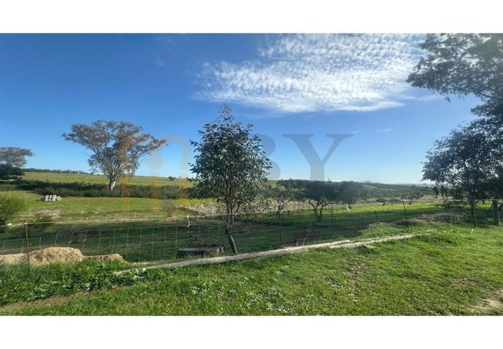 Terra a Castro Verde, Beja, Castro Verde - € 15.000 | Ref: BYS-1134 - foto 1