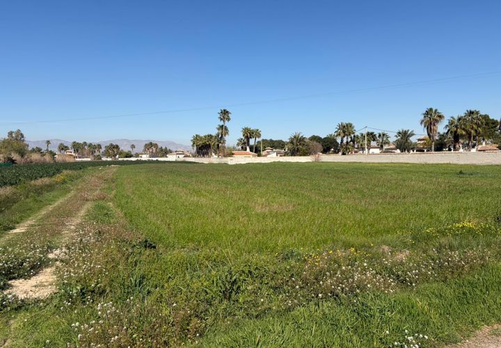 Terra a Catral, Alicante, Catral - € 99.900 | Ref: F139/3390 - foto 1