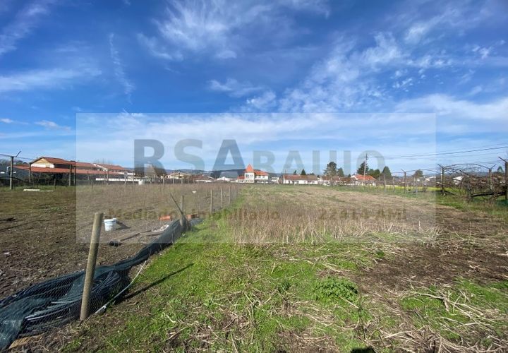 Terra a Braga, Braga, Braga - € 250/mes | Ref: TE-0004 - foto 1