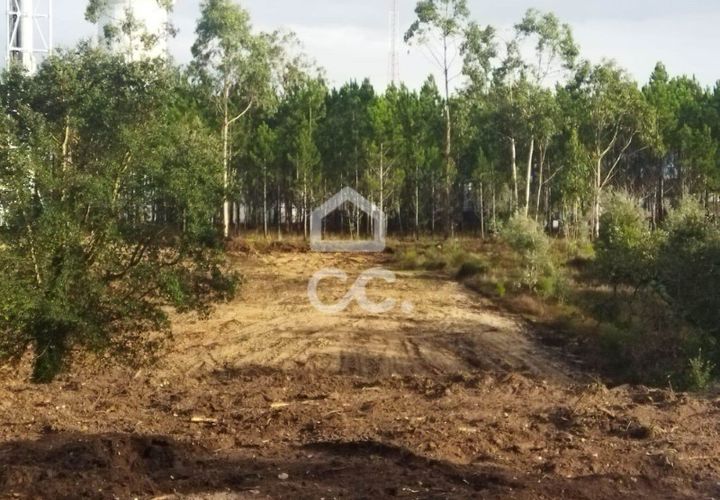 Helårsgrund i Monte Real, Leiria, Monte Real - € 92.000 | Ref: mg1608-5 - foto 1