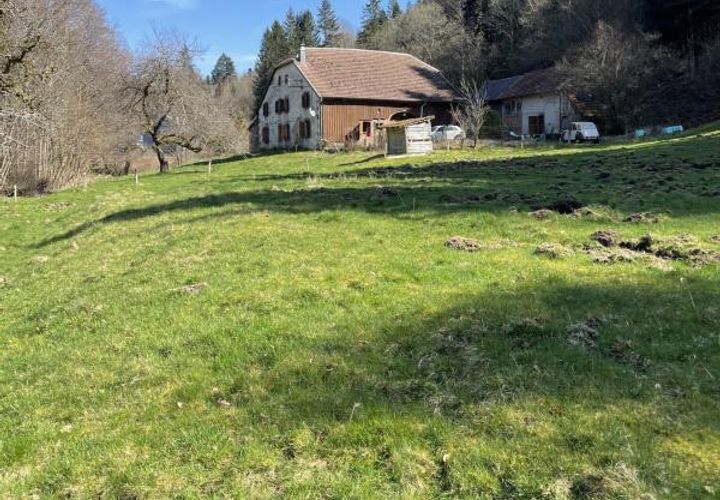 Farm i Servance, Haute-Saone, Servance - € 220.000 | Ref: 16_6392 - foto 1
