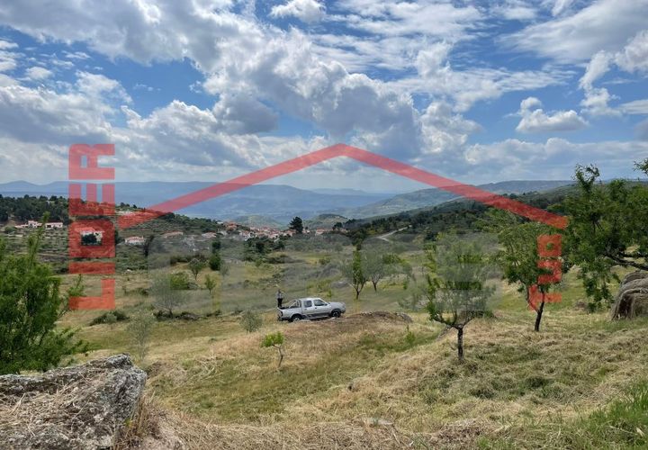 Terra a Vila Flor, Braganca, Vila Flor - € 50.000 | Ref: 0972 - foto 1
