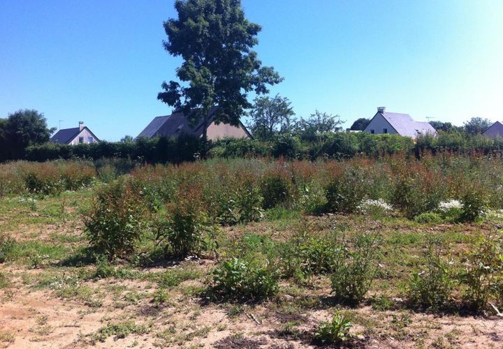 Helårsgrund i Garcelles-Secqueville, Calvados, Garcelles-Secqueville - € 69.900 | Ref: KL_CASTELET_TERRAIN_22.04 - foto 1