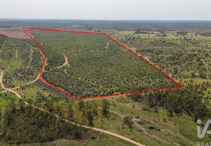 Helårsgrund i Abrantes, Santarem, Abrantes - € 699.000 | Ref: 878782 - foto 1