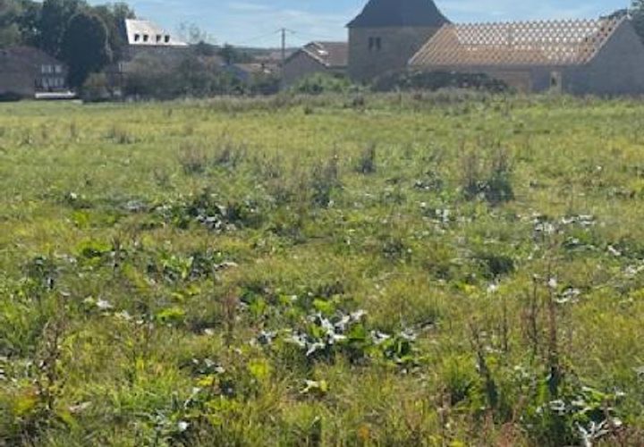 Terra a Jallaucourt, Moselle, Jallaucourt - € 62.000 | Ref: V637 - foto 1