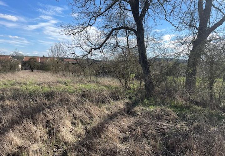 Terra a Arracourt, Meurthe-et-Moselle, Arracourt - € 35.000 | Ref: V667 - foto 1