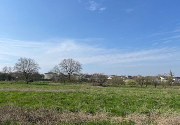 Terra a Haraucourt, Meurthe-et-Moselle, Haraucourt - € 78.000 | Ref: V687 - foto 1