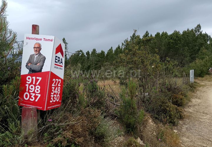 Tomt i Proenca-a-Nova, Castelo Branco, Proenca-a-Nova - € 15 000 | Ref: 102260079 - foto 1