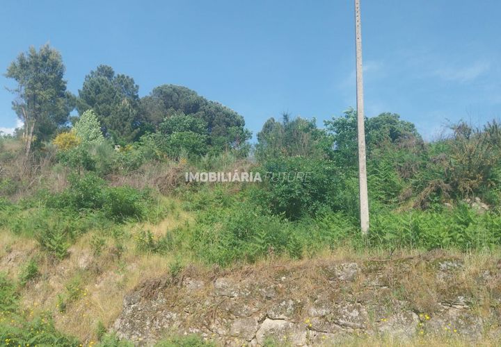 Helårsgrund i Baiao, Porto, Baiao - € 61.000 | Ref: MF0/116 - foto 1