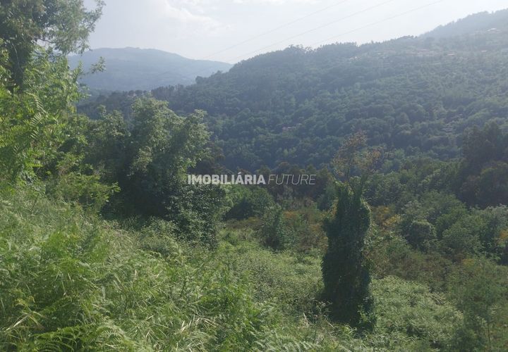 Helårsgrund i Baiao, Porto, Baiao - € 51.000 | Ref: MF0/117 - foto 1