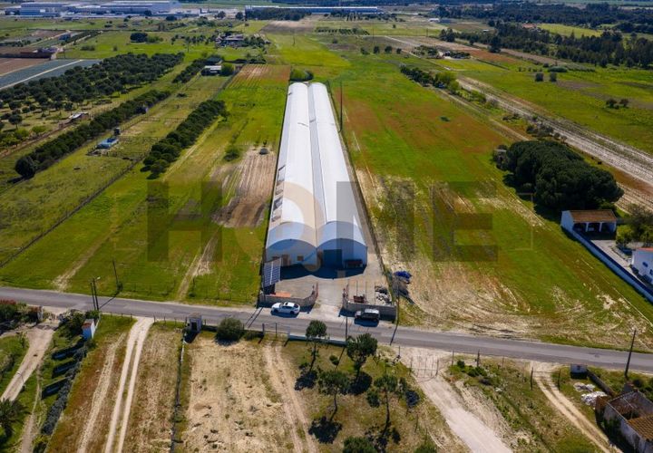 Helårsgrund i Almeirim, Santarem, Almeirim - € 220.000 | Ref: 100.001.889 - foto 1