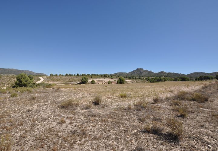 Helårsgrund i Salinas, Alicante, Salinas - € 89.000 | Ref: P5454 - foto 1