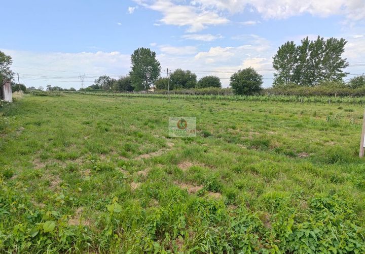 Villa i Oliveira do Bairro, Aveiro, Oliveira do Bairro - € 300.000 | Ref: 4107 - foto 1