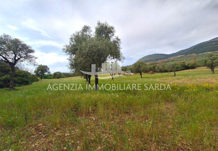 Tomt i Alghero, Sassari, Alghero - € 370 000 | Ref: ALG109 - foto 1