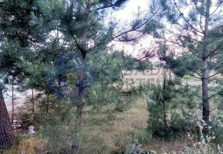 Helårsgrund i Palmela, Setubal, Palmela - € 138.000 | Ref: 1128181 - foto 1