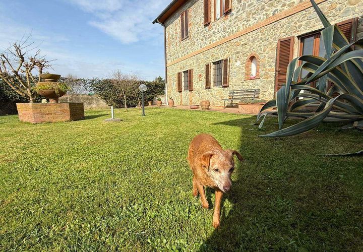 Farm hus i Buggiano, Pistoia, Buggiano - € 450.000 | Ref: A6551TA2562978A-1115868 - foto 1
