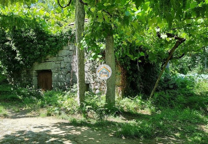 Farm i Arouca, Aveiro, Arouca - € 80.000 | Ref: 1TC4238 - foto 1